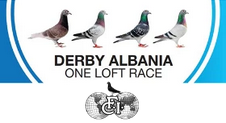 DERBY ALBANIA OLR