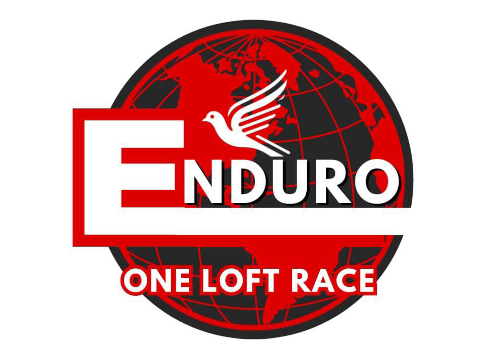 ENDURO OLR