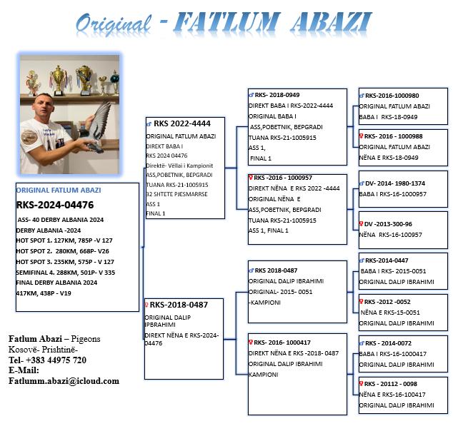 19	place Final Race (417 km) 	 Fatlum Abazi	 RKS-04476-2024	