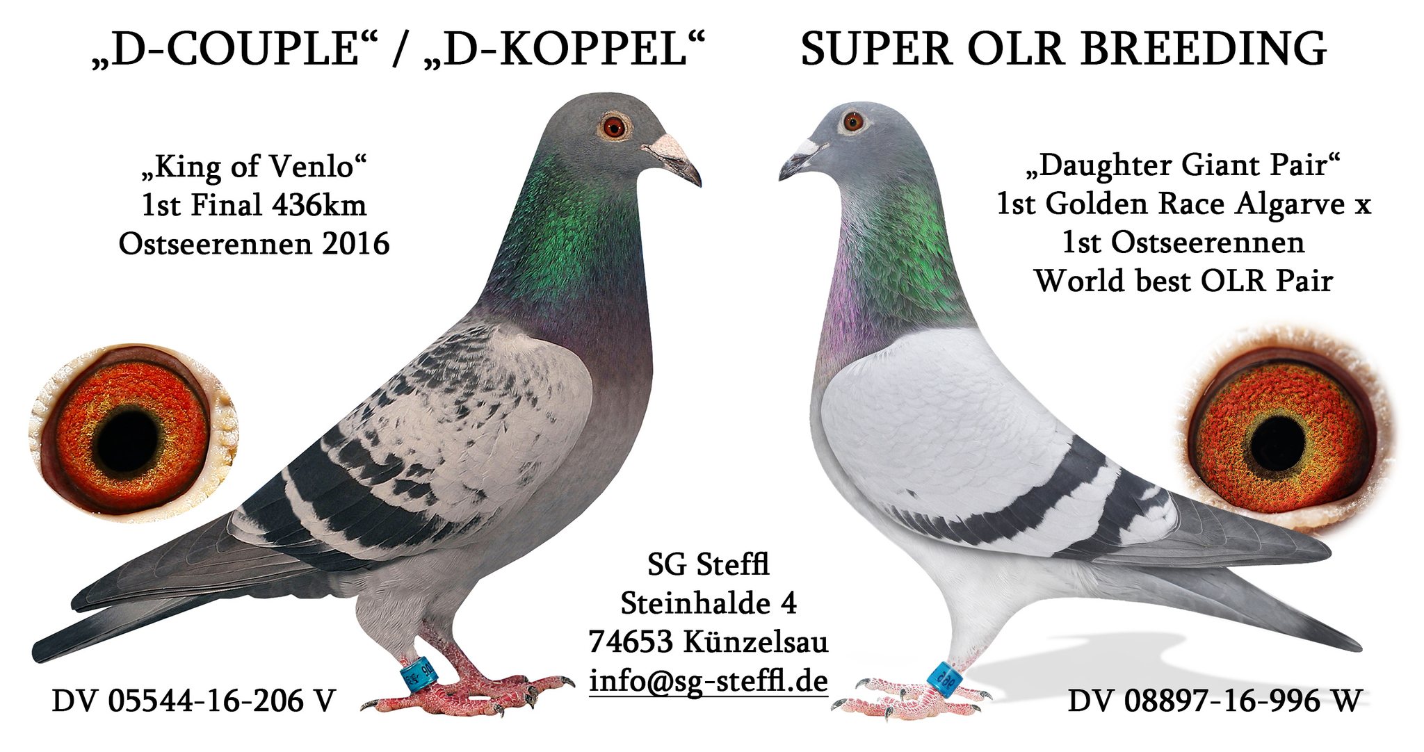 44	Final (452 km)	SG STEFFL	DV 8897 7177