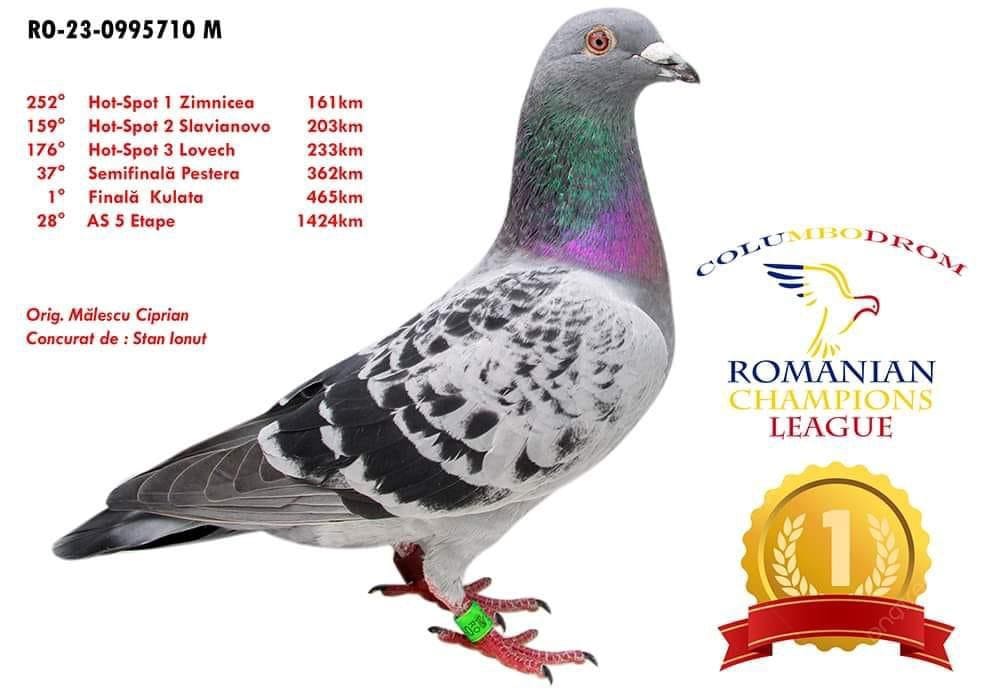 7	place EXTRA FINAL (506 km)	OLR ROMANIAN CHAMPIONS LEAGUE	RO 957930