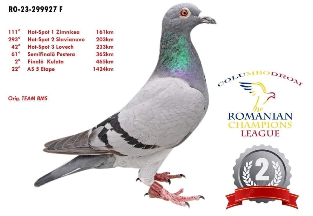 7	place EXTRA FINAL (506 km)	OLR ROMANIAN CHAMPIONS LEAGUE	RO 957930