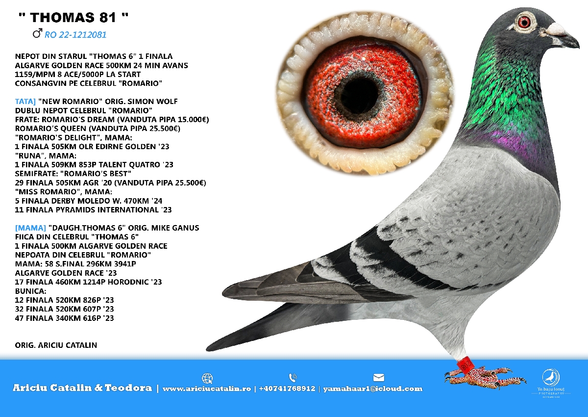 RO 24 507357 M - Special inbred Romario