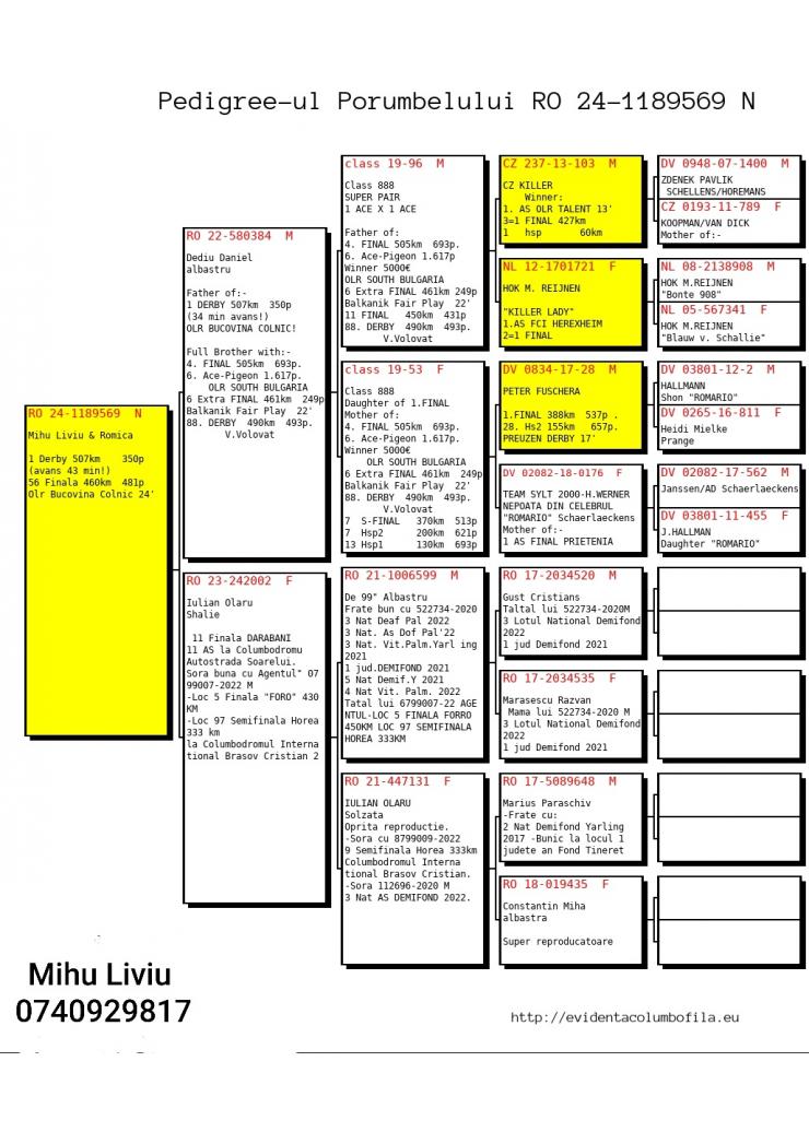 1	Super Derby (507 km) 	 MIHU LIVIU & ROMICA	 Ro-1189569