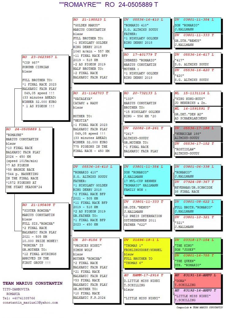 10	Final (452 km) + 7 Ace-pigeon	TEAM MARIUS CONSTANTIN	RO 505889