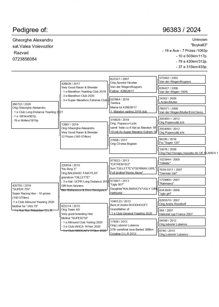 10	SUPER DERBY (507 km) 	 Team AS	 GB-24-V-96383