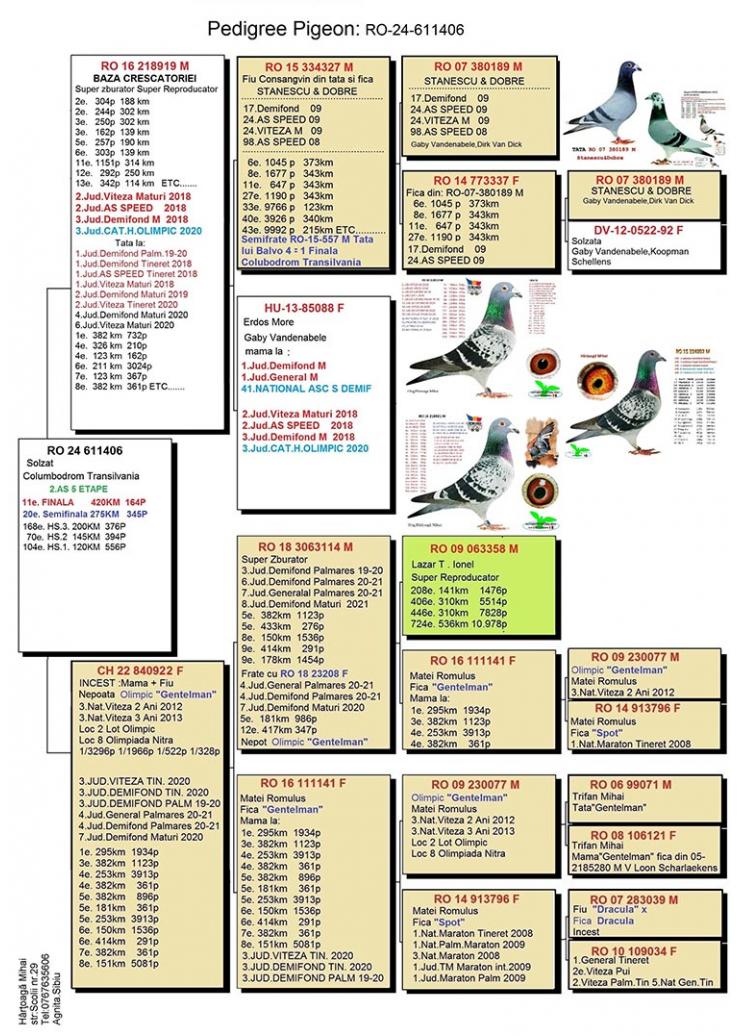 11	place Final (420 km) + 2 Ace 		 HARTOAGA MIHAI		 RO-24-0611406 	
