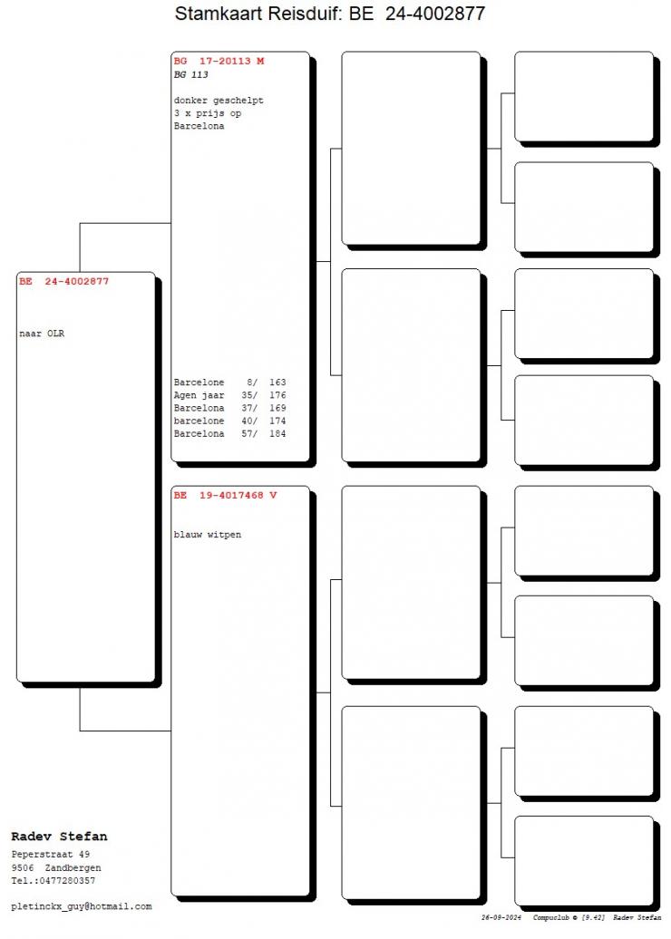 11	SUPER DERBY (507 km) 	 Loft Marina - Penne Dunny	 BE-24-4002877 