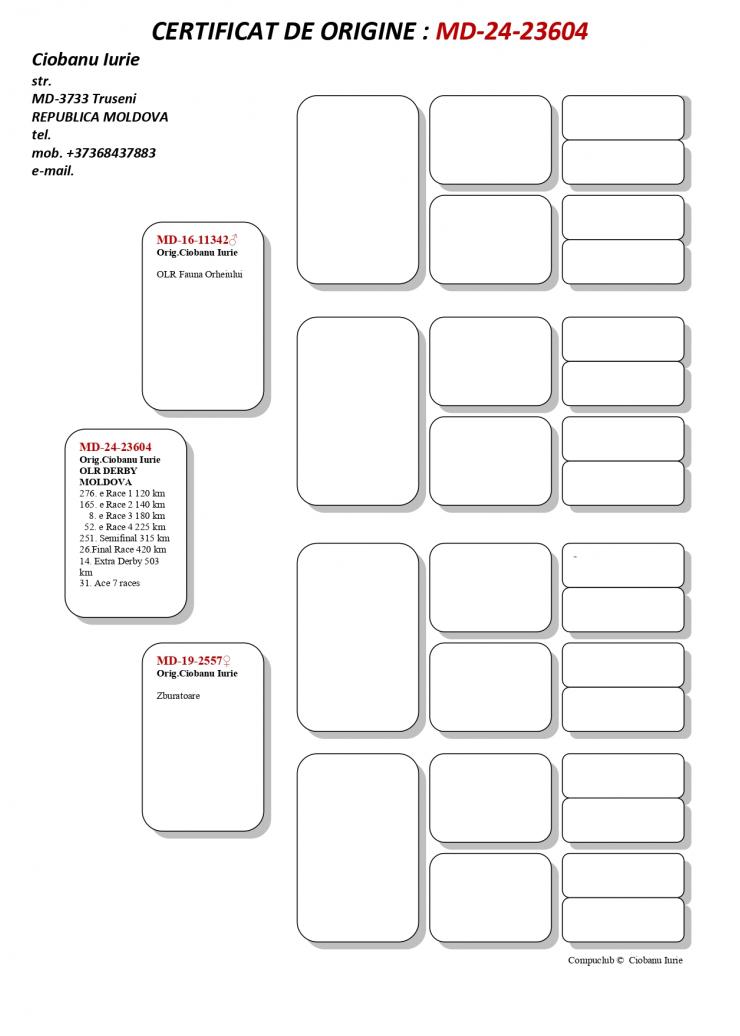 14	SUPER DERBY (507 km) 	 Ciobanu Iurie	 MD-24-23604 