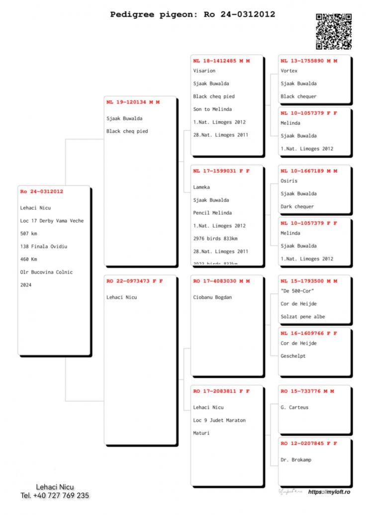 17	Super Derby (507 km) 	 LEHACI NICU	 Ro-0312012	