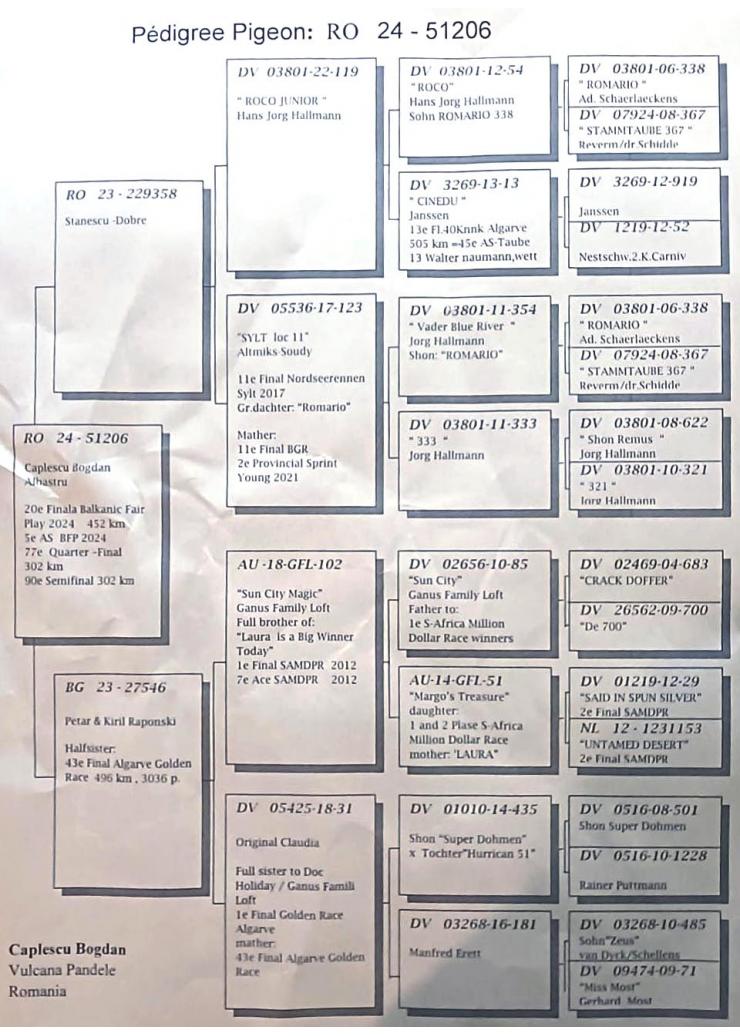 20	Final (452 km) + 5 Ace-pigeon	CAPLESCU BOGDAN	RO 51206