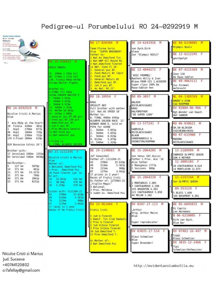 20	Final Race (460 km) + 7 Ace 	 TEAM NICULCE	 Ro-0292919	