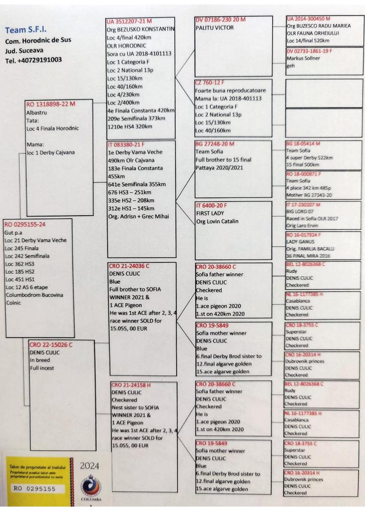 21	Super Derby (507 km) 	 FAMILIA SFIRNACIUC	 Ro-0295155	