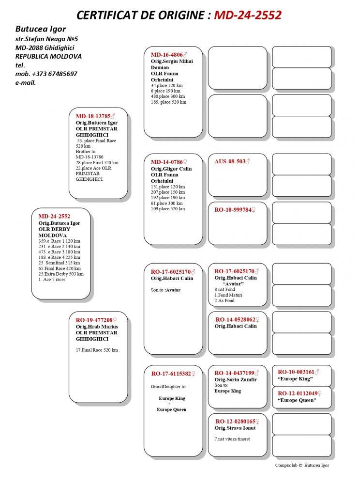 25	SUPER DERBY (507 km) 	 Butucea Igor	 MD-24-2552