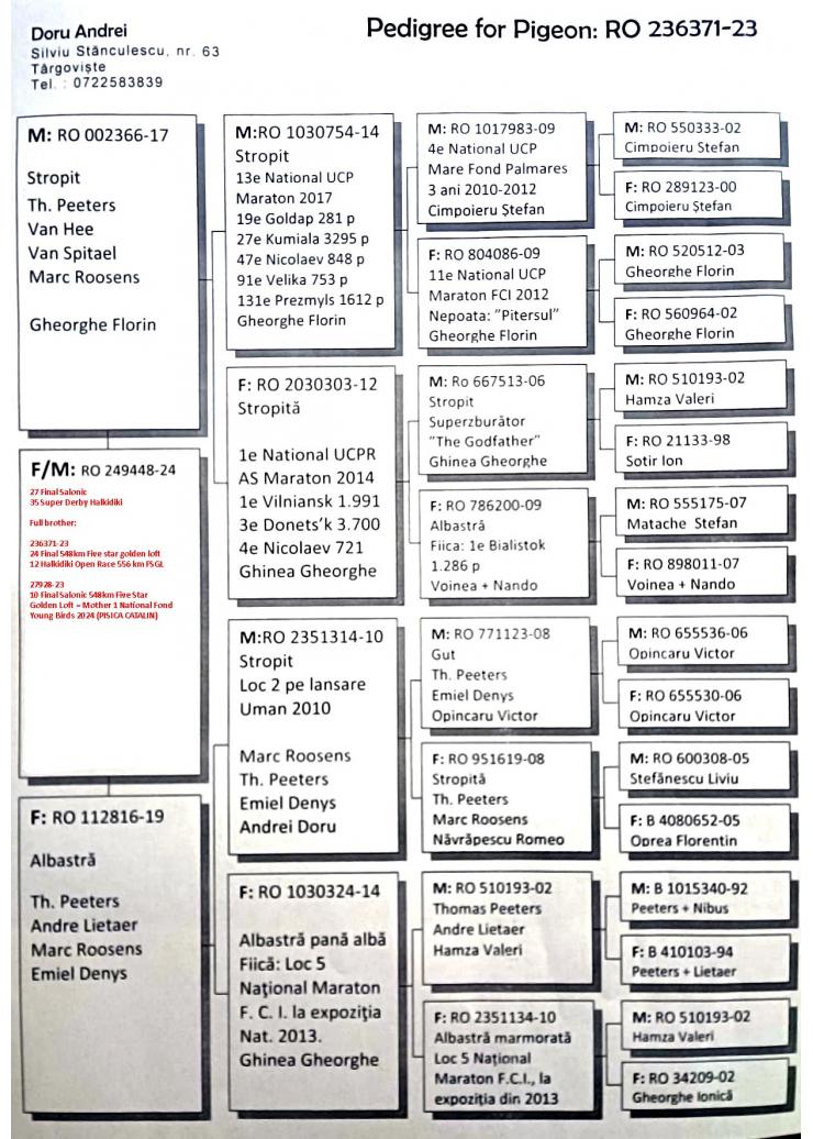 35     Super Derby (554 km) ANDREI DORU	249448-24-F