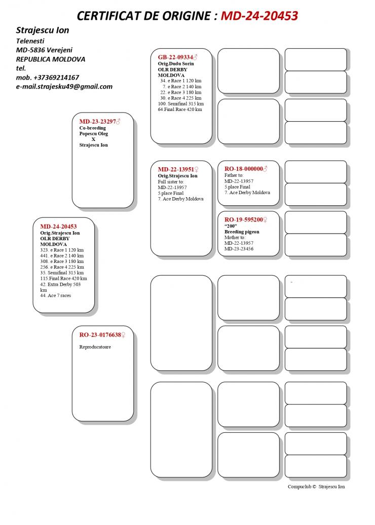 42	SUPER DERBY (507 km) 	 Strajescu Ion	 MD-24-20453