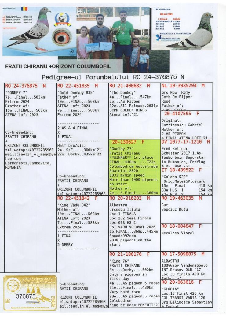 7 Final Race (583 km) + 3 Ace FRATII CHIRANU + ORIZONT COLUMBOFIL 24-376875