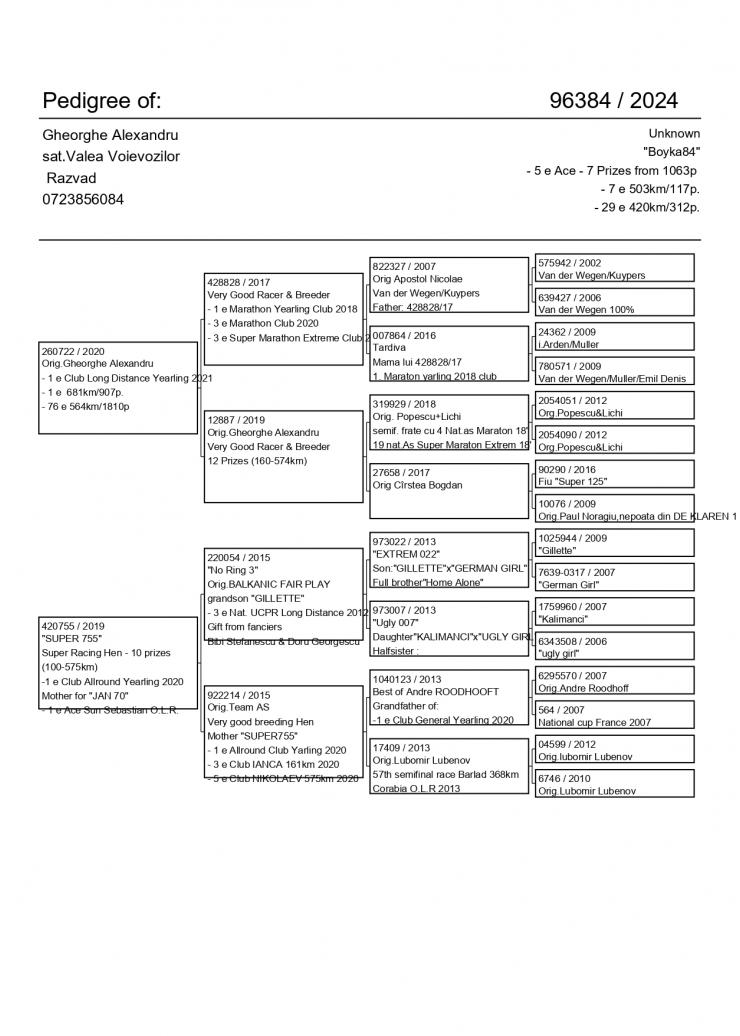 7	SUPER DERBY (507 km) 	 Team AS	 GB-24-V-96384 