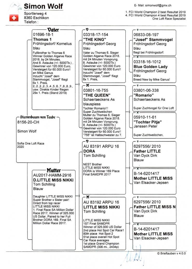 CH 20 8156 F - SIMON WOLF - Daughter world famous THOMAS 1; Mother ROMINA