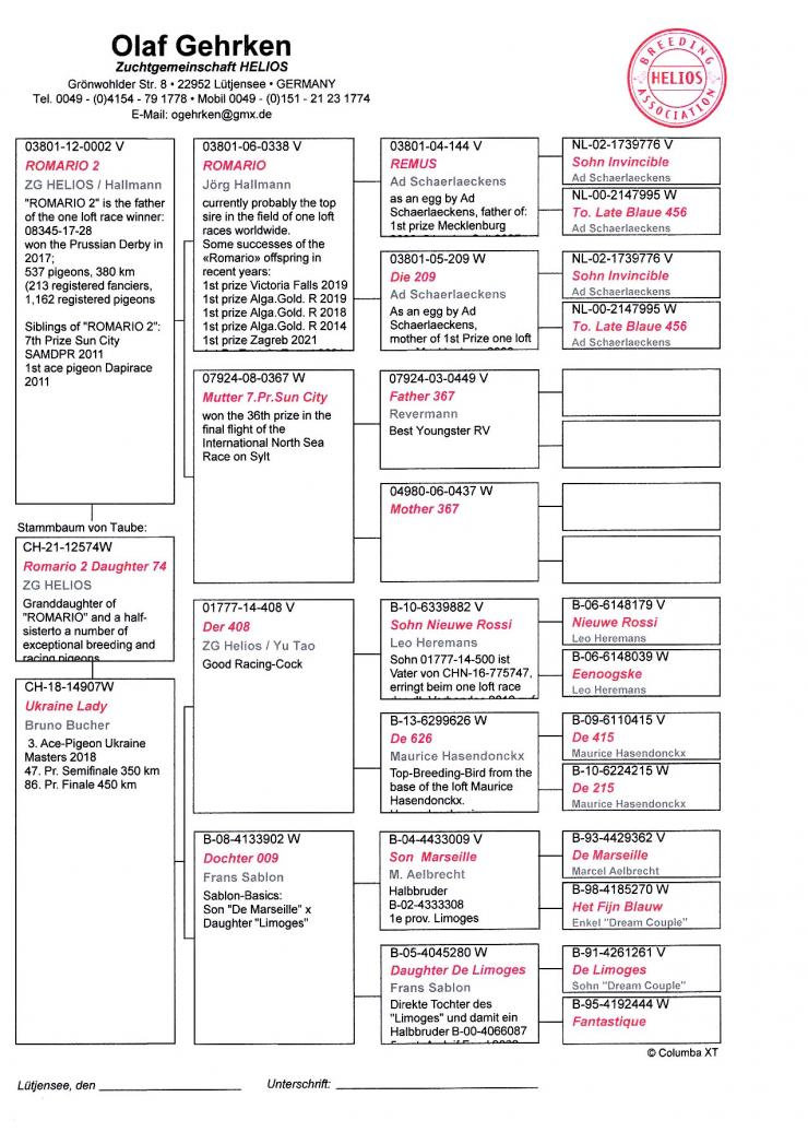 CH 21 12574 F - Granddaughter legend Romario