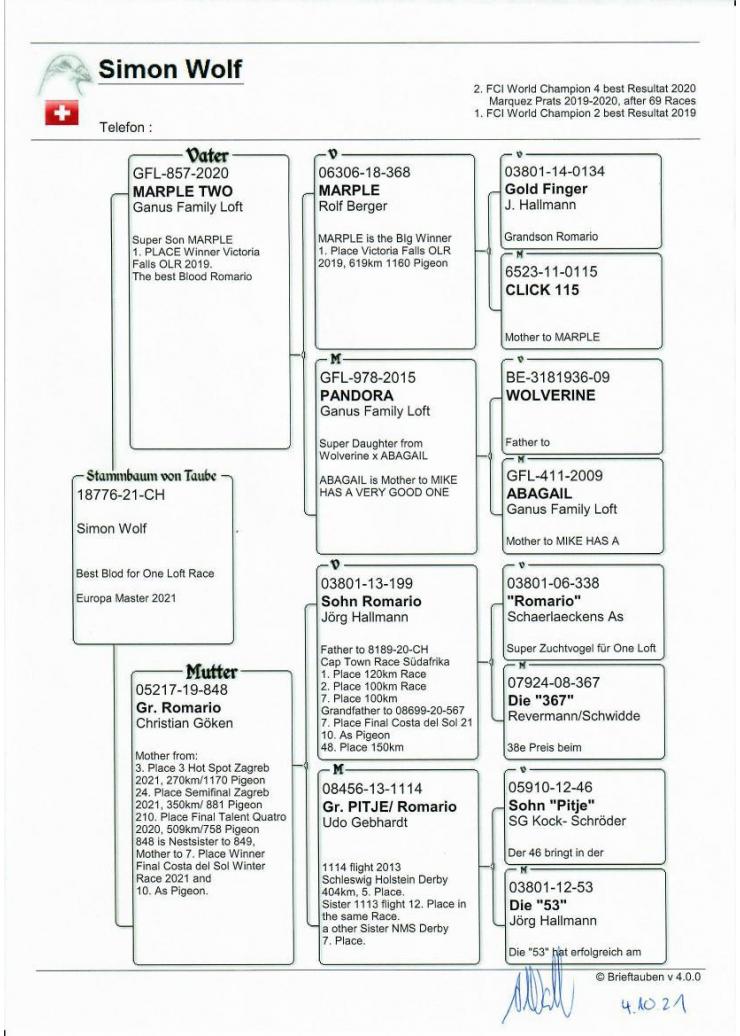 CH 21 18776 M - SIMON WOLF - Inbred Romario; Grandson 1 Final Victoria Falls