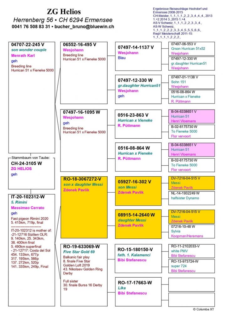 CH 24 3105 - Inbred Hurrican 51 x 5 Final Rimini OLR