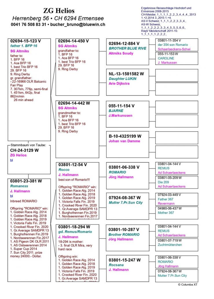 CH 24 3129 - Father 1 Final BFP x Daughter Rocco (Hallmann)