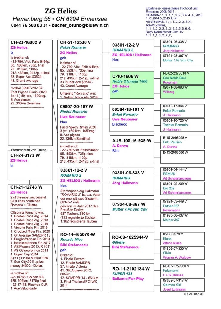 CH 24 3173 - Grandchild Noble Romario, Romario 2