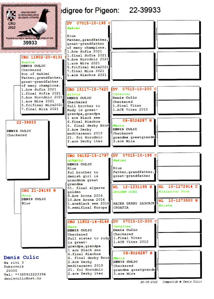 CRO 22 39933 M - DENIS CULIC - Grandson Hakimi, superbreeder