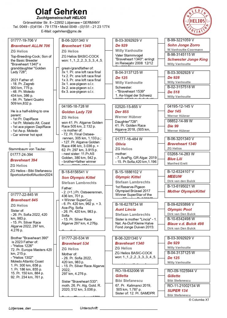 DV 1777 24 394 - Grandchild basic breeder Braveheart 1340