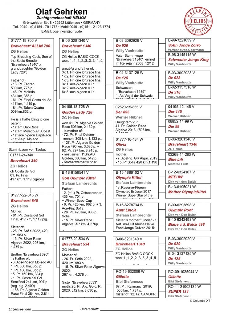 DV 1777 24 394 - Grandchild basic breeder Braveheart 1340; H sibling 61 Final Costa del Sol 2024