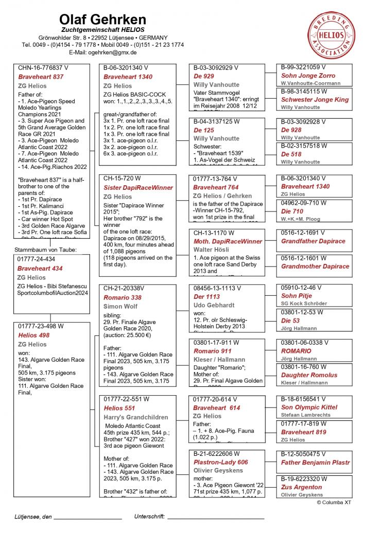 DV 1777 24 434 - Grandchild basic breeder Braveheart 1340