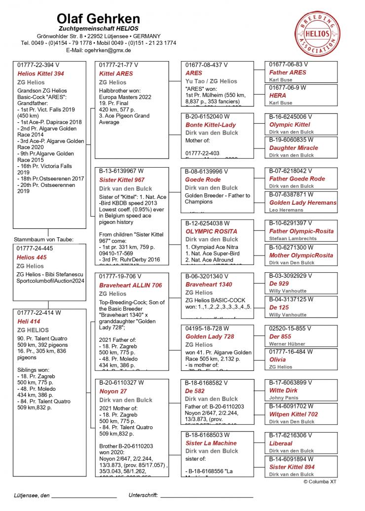 DV 1777 24 445 - Grandchild Kittel Ares, Braveheart All-In