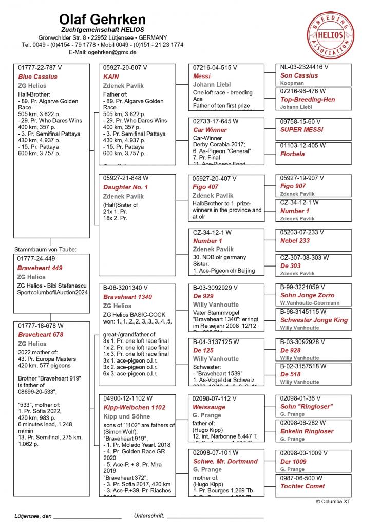 DV 1777 24 449 - Grandchild basic breeder Braveheart 1340