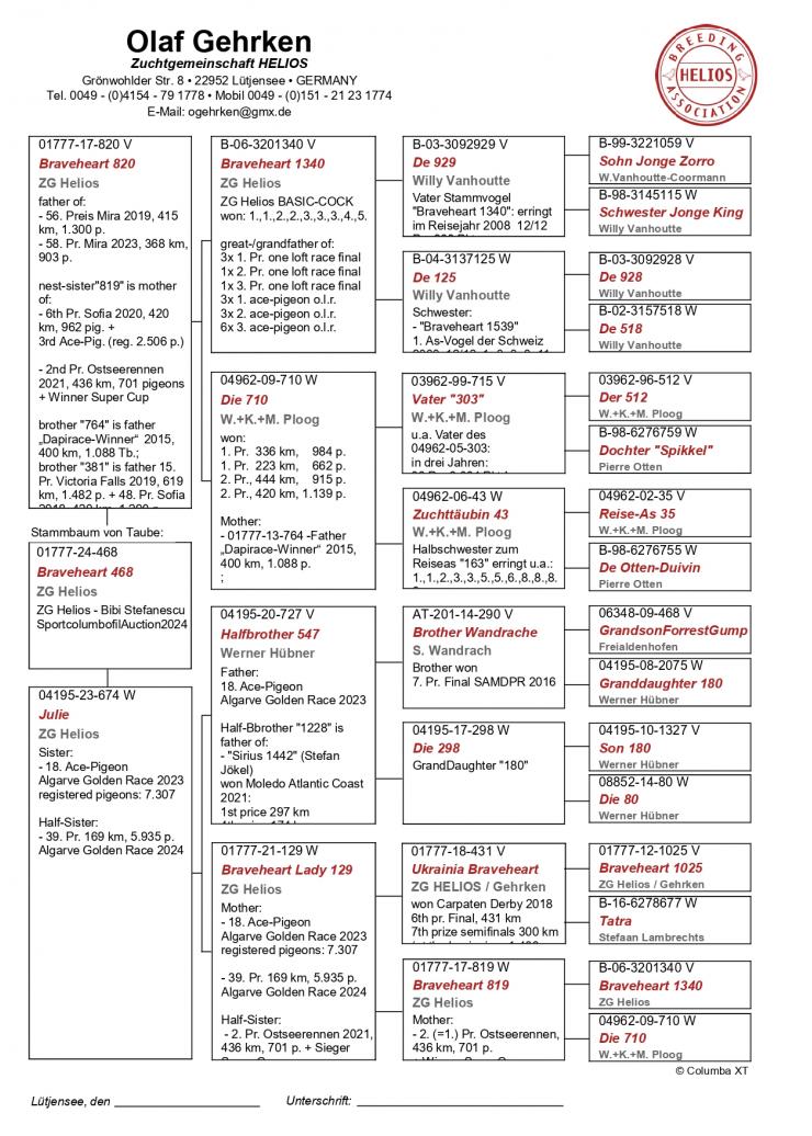 DV 1777 24 468 - Grandchild basic breeder Braveheart 1340