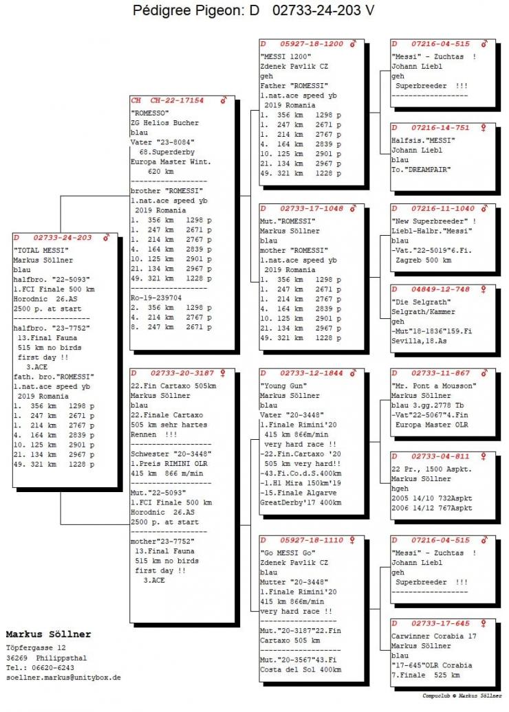 DV 2733 24 203 M - Halfbrother 1 Final Horodnic