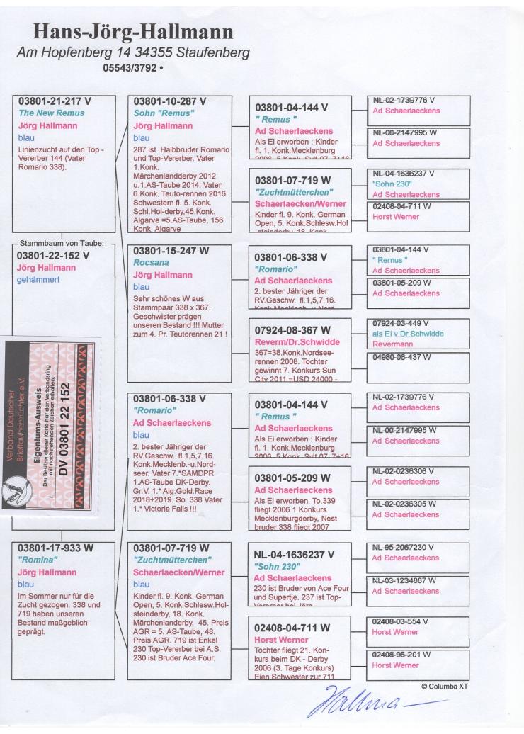 DV 3801 21 152 F - JORG HALLMANN - Grandaughter world legend ROMARIO