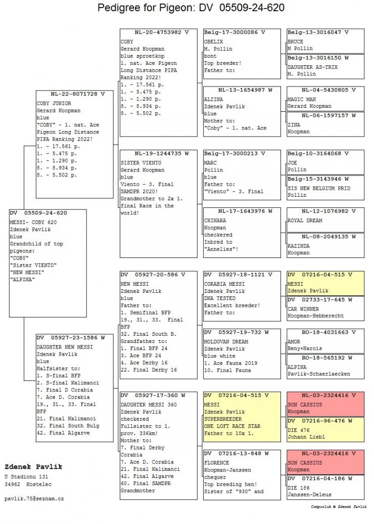 DV 5927 24 620 - Grandchild New Messi, Coby = 1 Nat Ace pigeon LD
