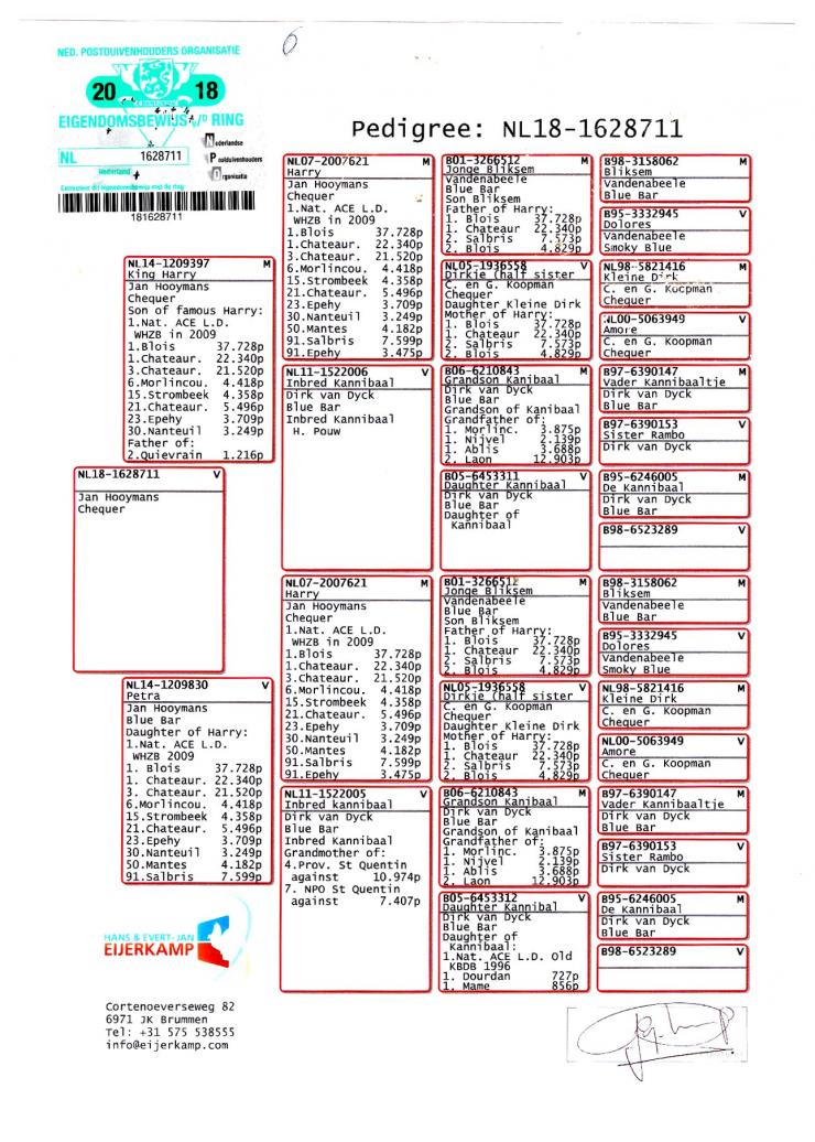 NL 18 1628711 F - EIJERKAMP FAMILY - Double granddaughter legend Harry