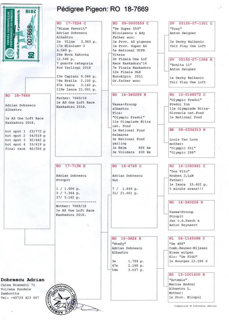 RO 18 7669 F - ADRIAN DOBRESCU - 1 Ace pigeon Kaskadoru 