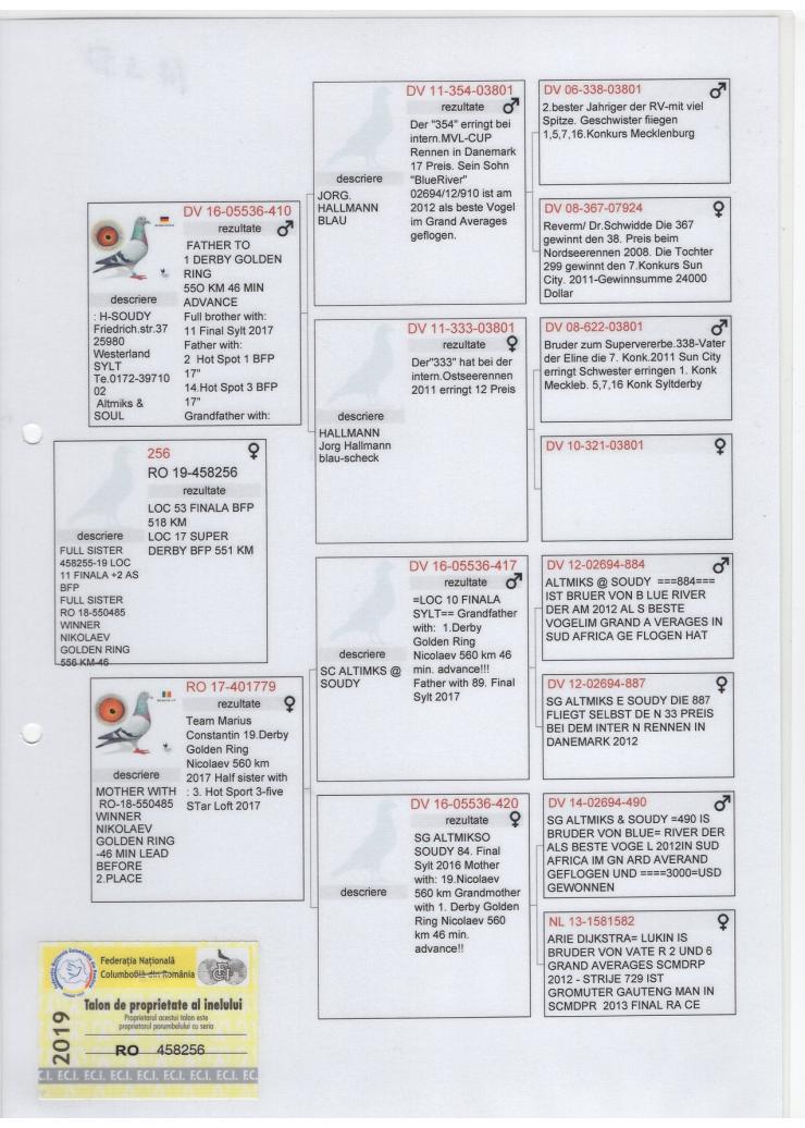 RO 19 458256 F - 53 Final, 17 Extra Final BFP; Daughter 410; Sister 1 Nikolaev Golde Ring