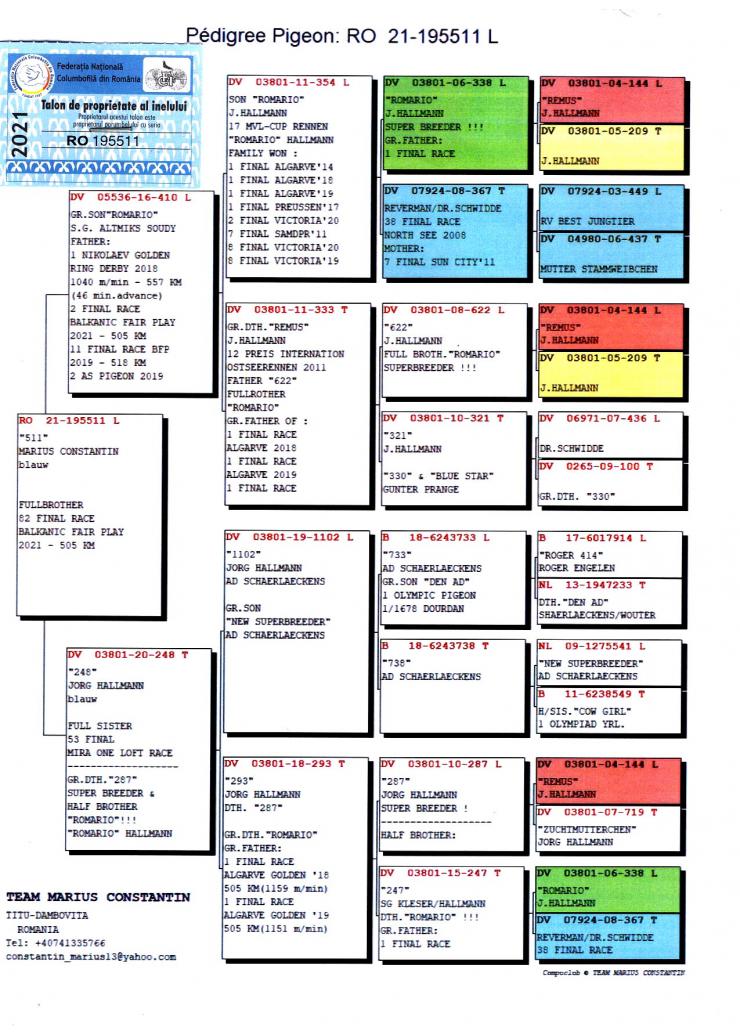 RO 21 195511 M - TEAM MARIUS CONSTANTIN - Son 410 