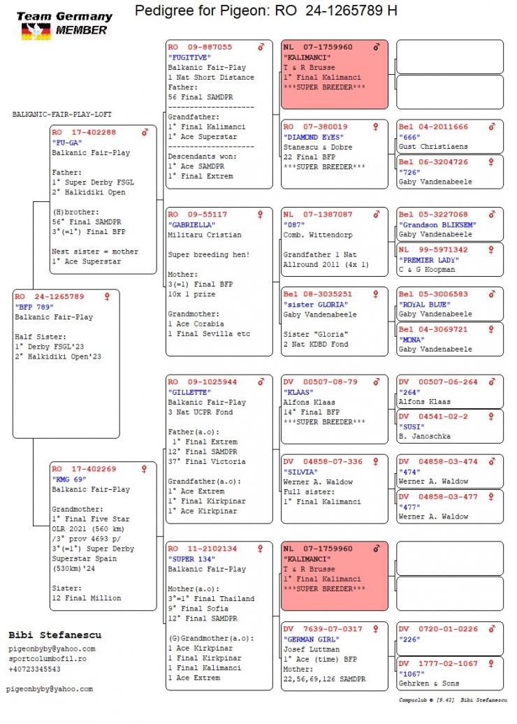 RO 24 1265789 F - Half sister 1 Extra Final FSGL