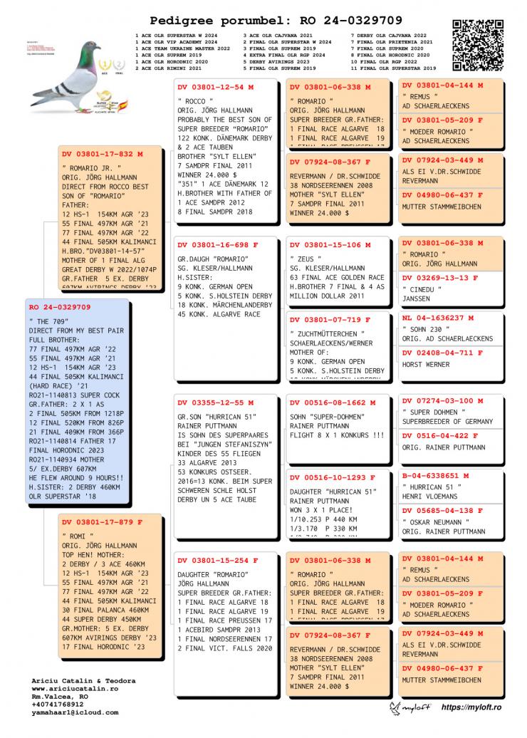 RO 24 329709 M - Son Super Pair; Full brother 55, 77 Final Algarve Golden Race etc