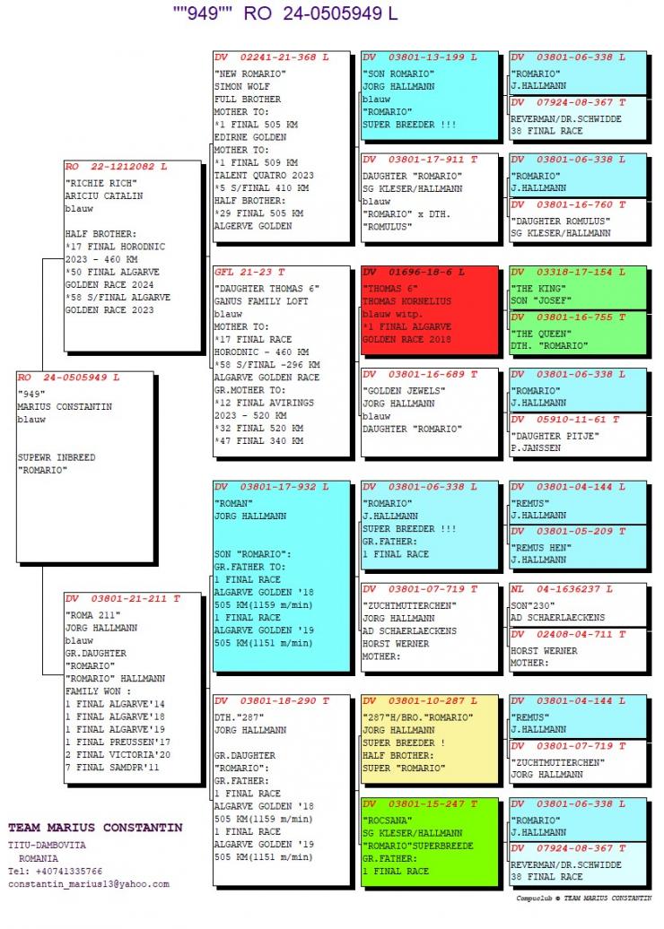 RO 24 505949 F - INBRED ROMARIO