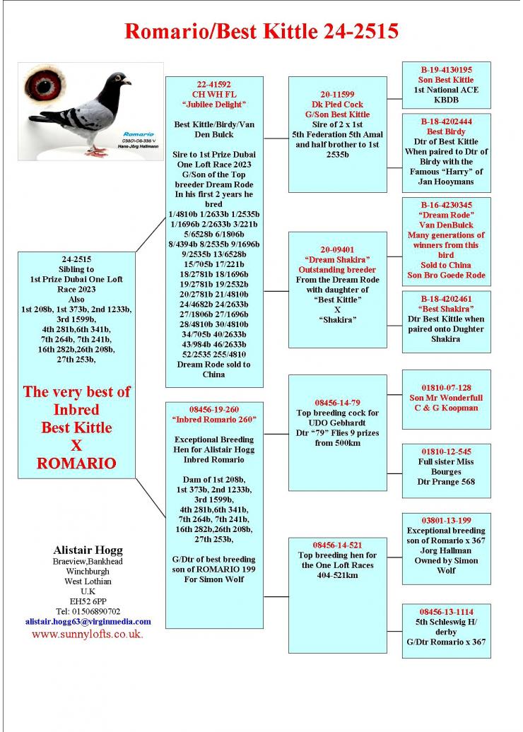 SU 24 2515 F - Sister 1 prize HS Dubai OLR; Daughter super hen 260